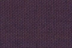 Sherpa_PurpleVelvet_150