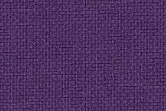 Sherpa_Viola_150