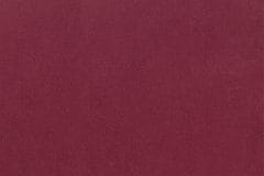 Chronicle-Raspberry