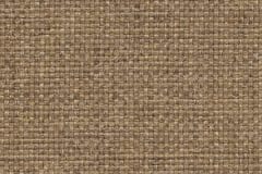 Sherpa_Mocha_150
