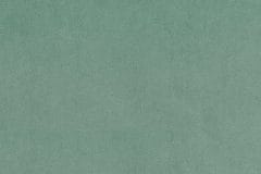 Chronicle-Jade
