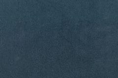 Chronicle-Navy